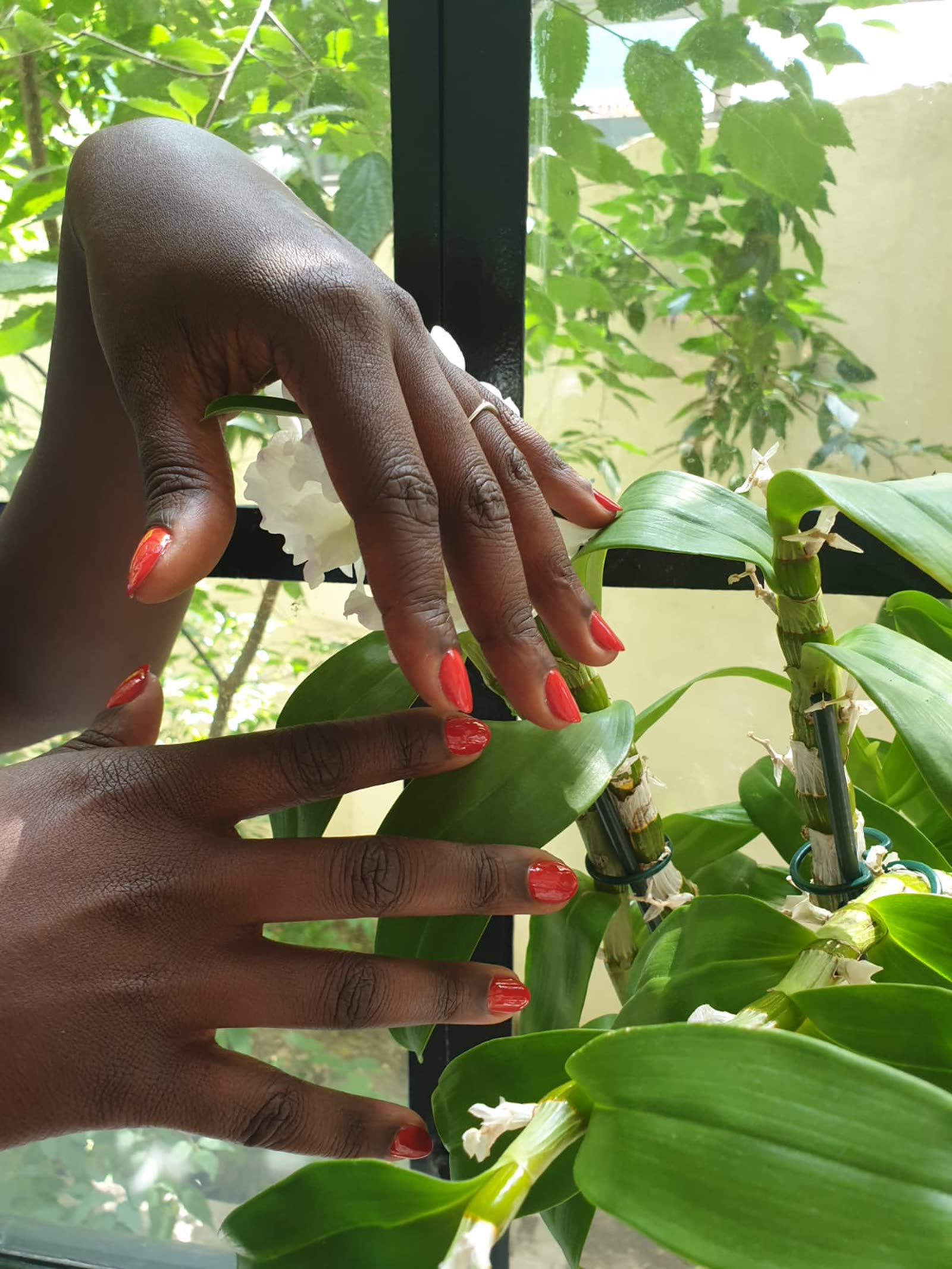Geste de mise en beauté des mains dans une lumière douce